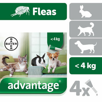 Elanco Advantage Spot-On For Cats/Dogs/Rabbits 4 Pipettes