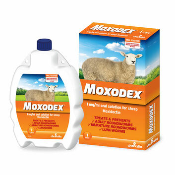 Chanelle Moxodex Oral Solution 1Mg/Ml