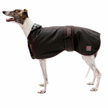 Firefoot Waxed Sighthound Dog Coat