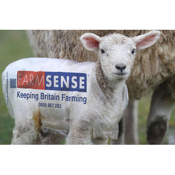 Farmsense Lamb Macs/Jackets