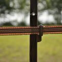 5 x 155cm Gallagher Horse Stirrup Electric Fence Post Terra (Brown) additional 3