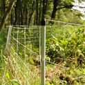 Gallagher Single Spike Pig Netting 50m x 75cm additional 7