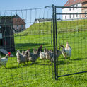 Hotline Rigid Poultry Net Gate 120cm x 80cm additional 2