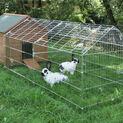 Horizont Galvanised Outdoor Poultry & Pet Animal Pen/Run additional 3