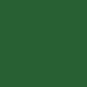 John Deere Green Paint - 1L additional 2