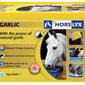 Horslyx Garlic Lick additional 1
