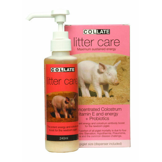 Nettex Collate Litter Care For Pigs - 240ml