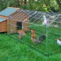 Galvanised Outdoor Poultry & Pet Animal Pen/Run additional 2
