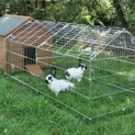 Galvanised Outdoor Poultry & Pet Animal Pen/Run additional 3