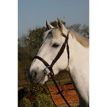JHL Bridle Cavesson Raised Brown