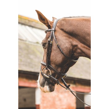 Mark Todd Bridle Performance Flash with Brass Fittings - Full