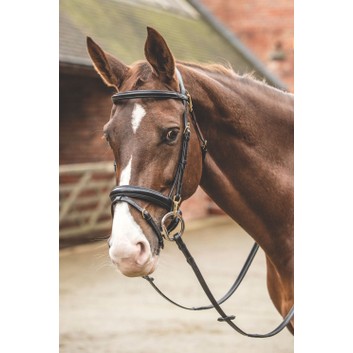Mark Todd Bridle with Clips - Full
