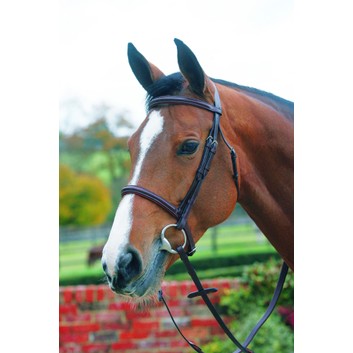 Mark Todd Bridle Plain Raised with Cavesson Noseband - Full