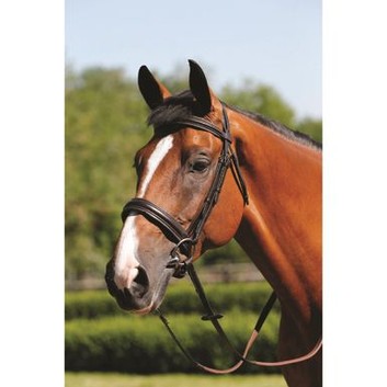 Mark Todd Bridle Padded Cavesson - Cob