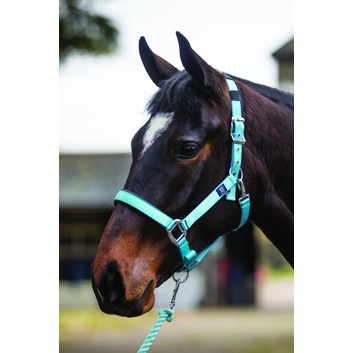 Mark Todd Headcollar Deluxe Padded with Lead Rope - Pony