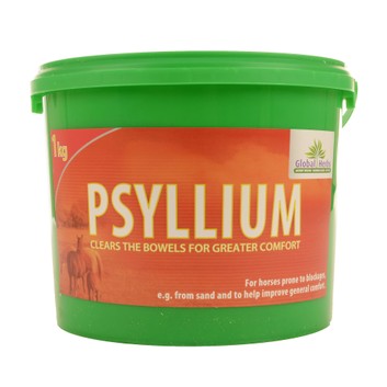 Global Herbs Psyllium - 1 KG