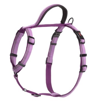 HALTI Walking Harness Purple