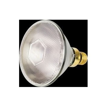 Intelec Par38 Infra-Red Clear Bulb 150W