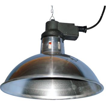 Intelec Traditional Infra-Red Lamp 8" Shade