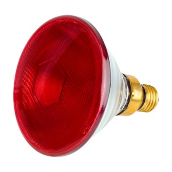 Intelec Par38 Infra-Red Bulb