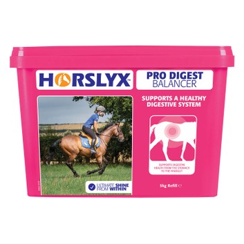 Horslyx Balancer Lick Pro Digest