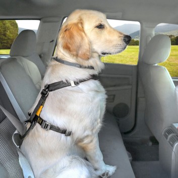 Kurgo Tru-Fit Smart Harness with Seatbelt Tether Black