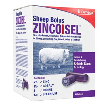 Bimeda Zincoisel Sheep Bolus