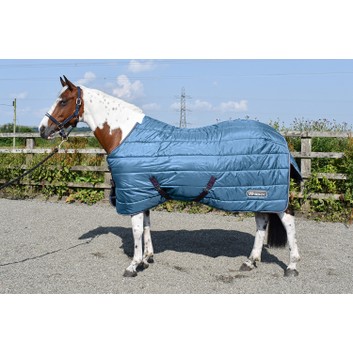 Whitaker Stable Rug Lupin 200Gm Teal