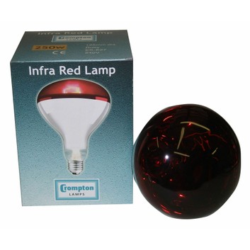 Crompton Lamp Infra-Red ES27 Ruby Bulb 250W