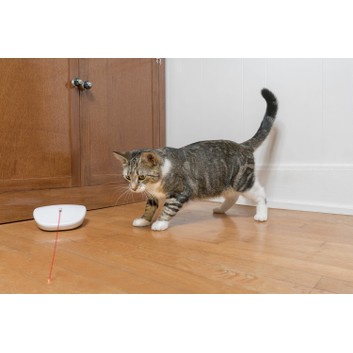 Petsafe Laser Tail Automatic Laser Light Cat Toy