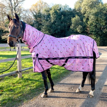 Whitaker Ladybird Fly Rug Pink