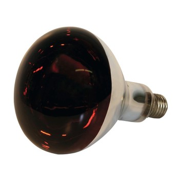 Standard E27 Infrared Heat Bulb 150w