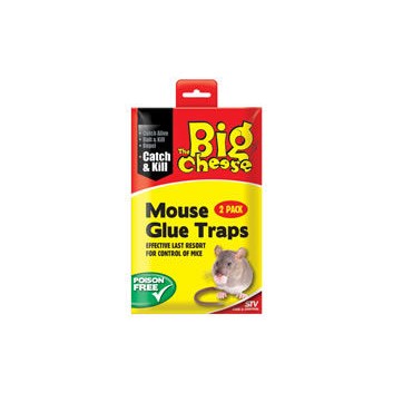 The Big Cheese RTU Mouse Glue Trap - Twin Pack