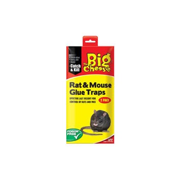 The Big Cheese RTU Rat & Mouse Glue Trap - Twin Pack