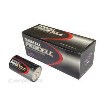 Duracell D Type Batteries