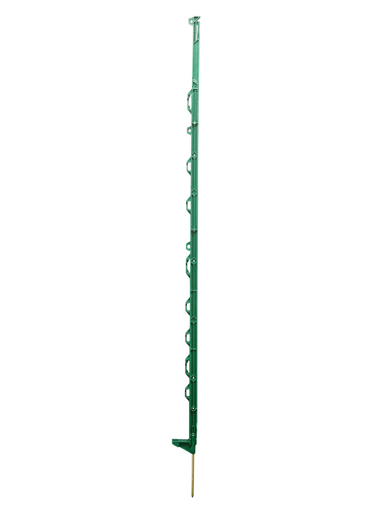 Nastro Recinzione Elettrico Verde 12mm X 400m Per Cavalli Paddock - Fensecure