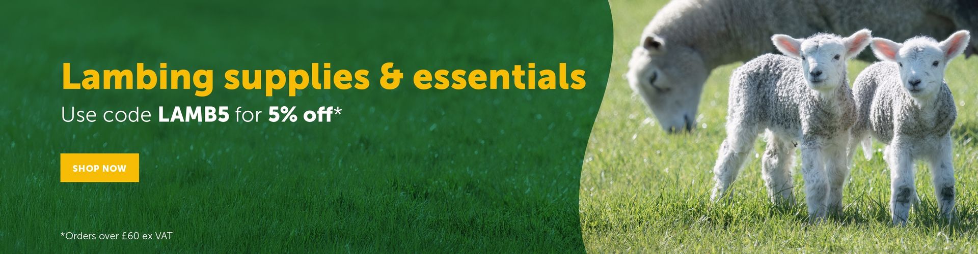 Lambing supplies and equipment