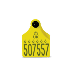 Allflex Single Replacement Cattle Tag