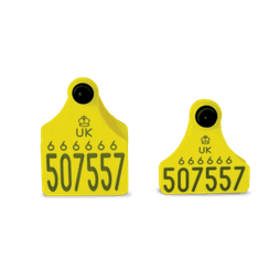 Allflex Double Replacement Cattle Tag