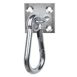 Stubbs Carabiner Hook On Wall Plate
