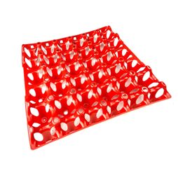 Bec Egg Tray (30 Eggs)