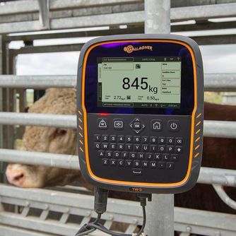 Weighing Scales &amp; Load Bars