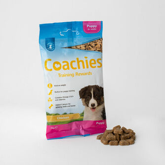 Dog Snacks & Treats