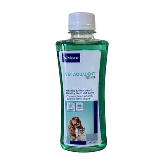 Dog Dental Care