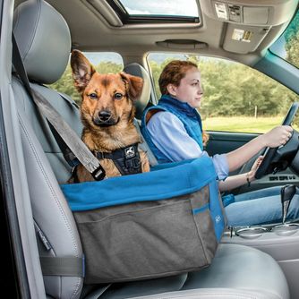 Pet Travel Accessories