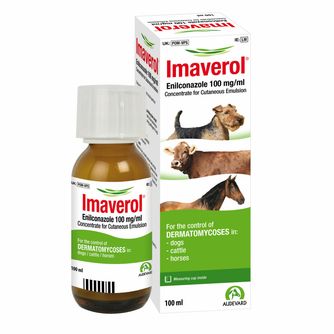 Dog Health &amp; Supplements