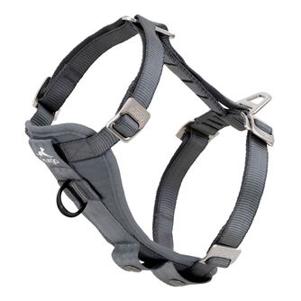 Pet Travel Accessories
