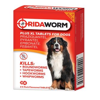 Dog Flea, Tick &amp; Worming