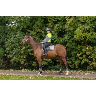 Horse Quarter and Tail Guards