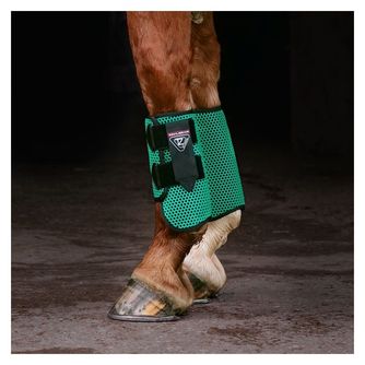 Horse Travel Boots